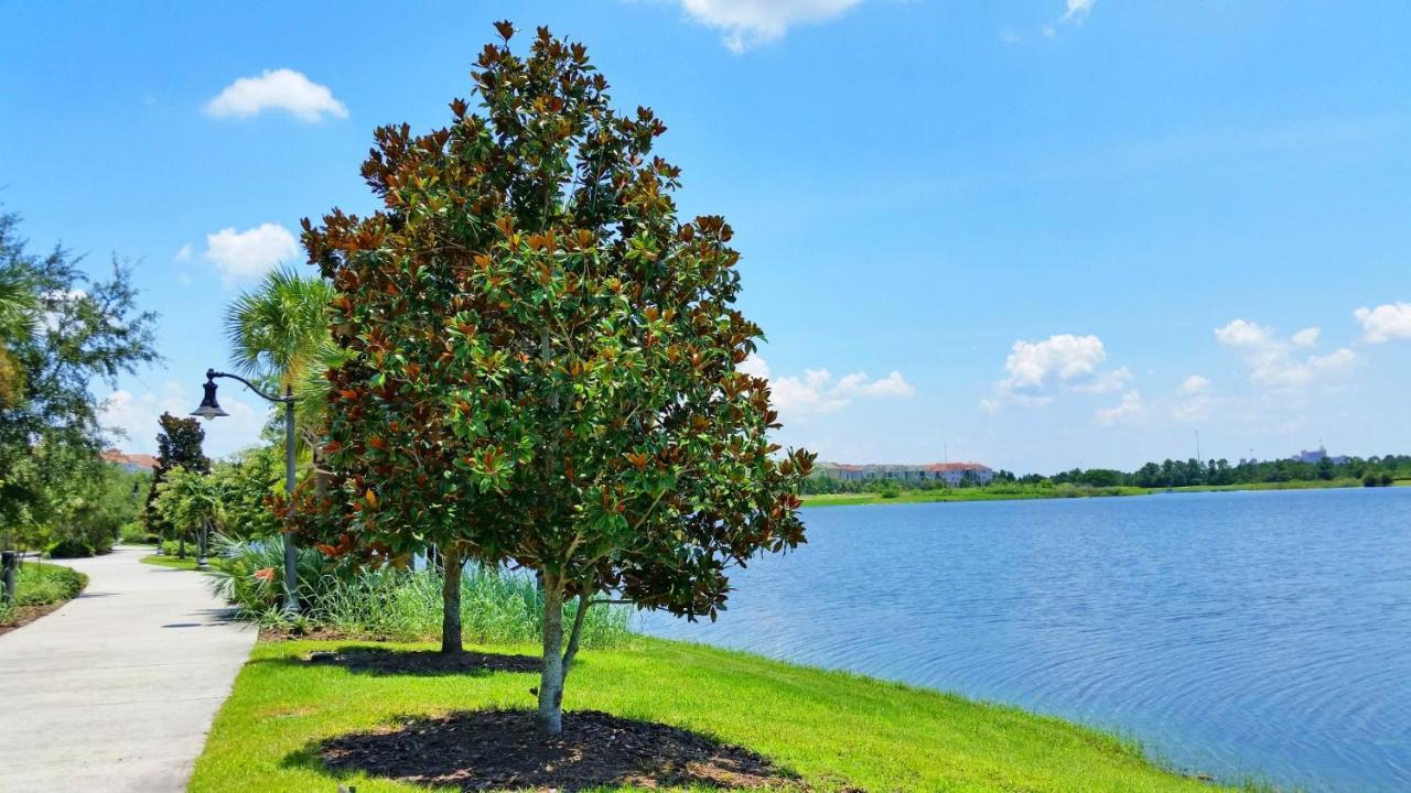 1St Floor Luxury Condo W Free Resort Access كيسيمي المظهر الخارجي الصورة